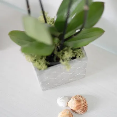 Bed and breakfast La Casa Del Pozzo Vecchio