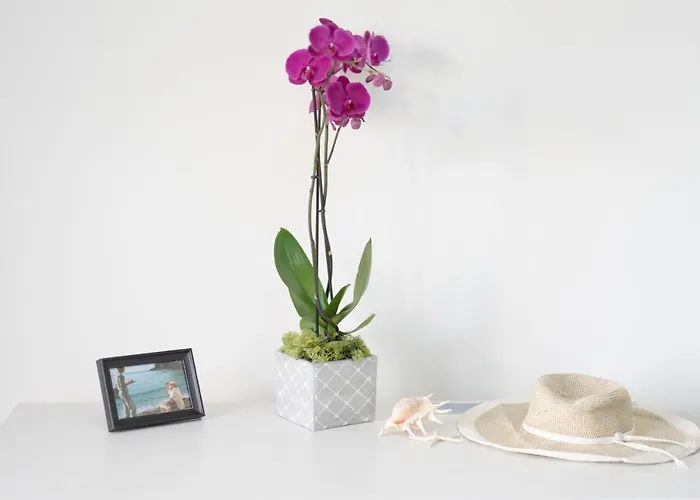 Bed & Breakfast La Casa Del Pozzo Vecchio Procida