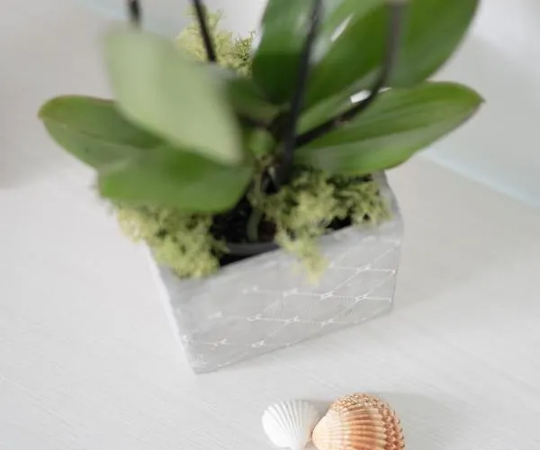 Oda ve Kahvaltı La Casa Del Pozzo Vecchio